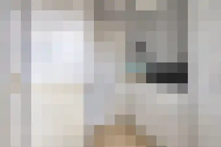 Appellaan 3 Bunde thumbnail 13