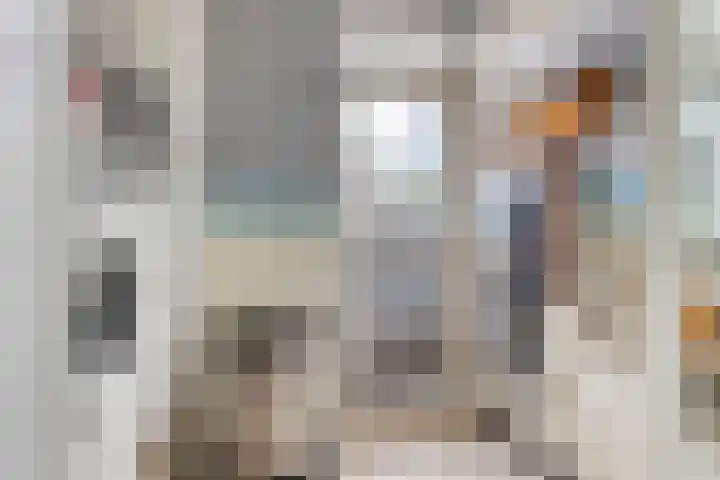 Appellaan 3 Bunde thumbnail 14