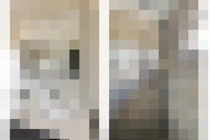 Appellaan 3 Bunde thumbnail 19