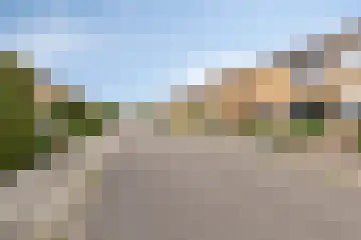 Appellaan 3 Bunde foto 2