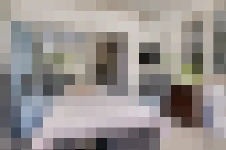 Appellaan 3 Bunde thumbnail 33