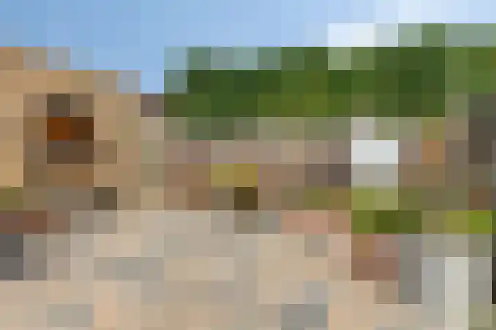 Appellaan 3 Bunde thumbnail 36