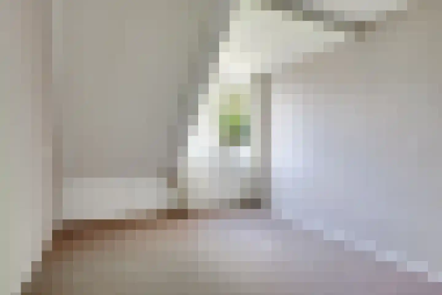 Appellaan 4 Bilthoven thumbnail 14