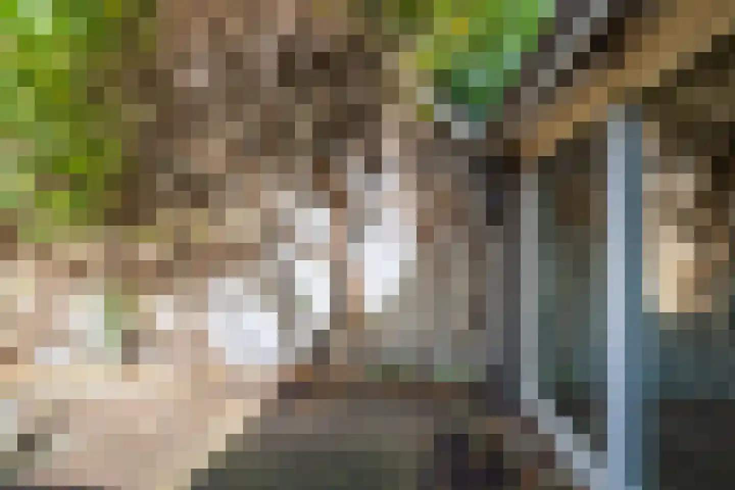 Appellaan 4 Bilthoven thumbnail 24