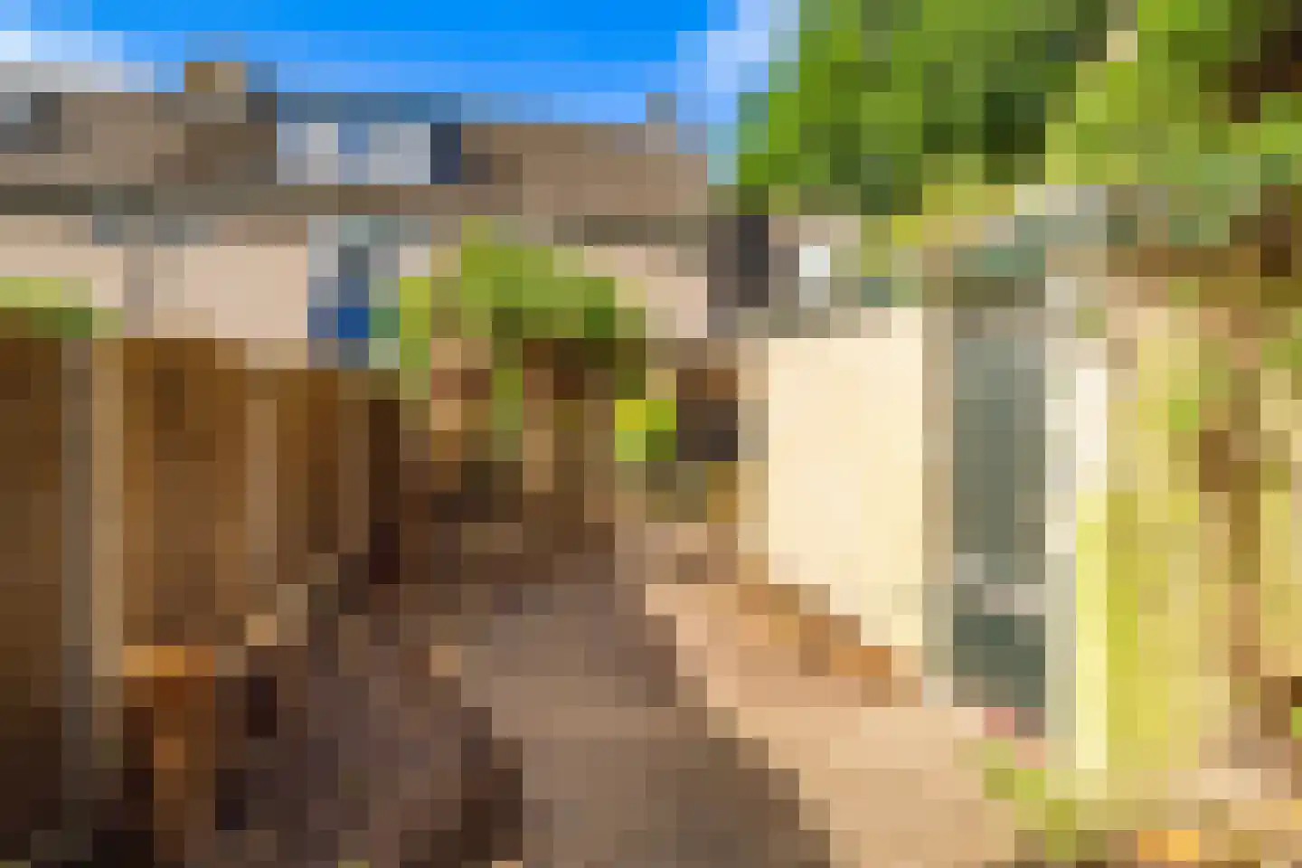 Appellaan 4 Bilthoven thumbnail 25