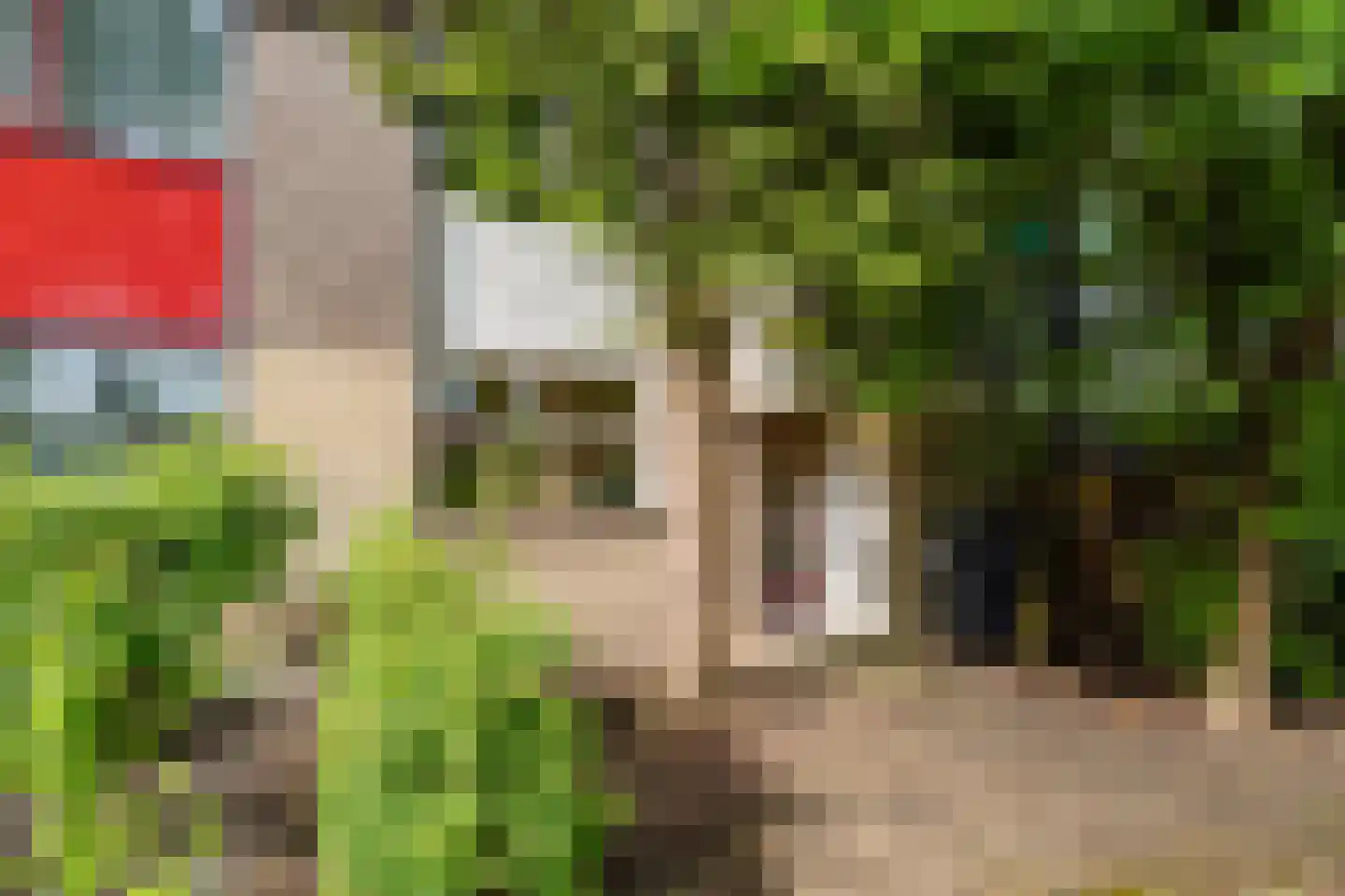 Appellaan 4 Bilthoven thumbnail 26