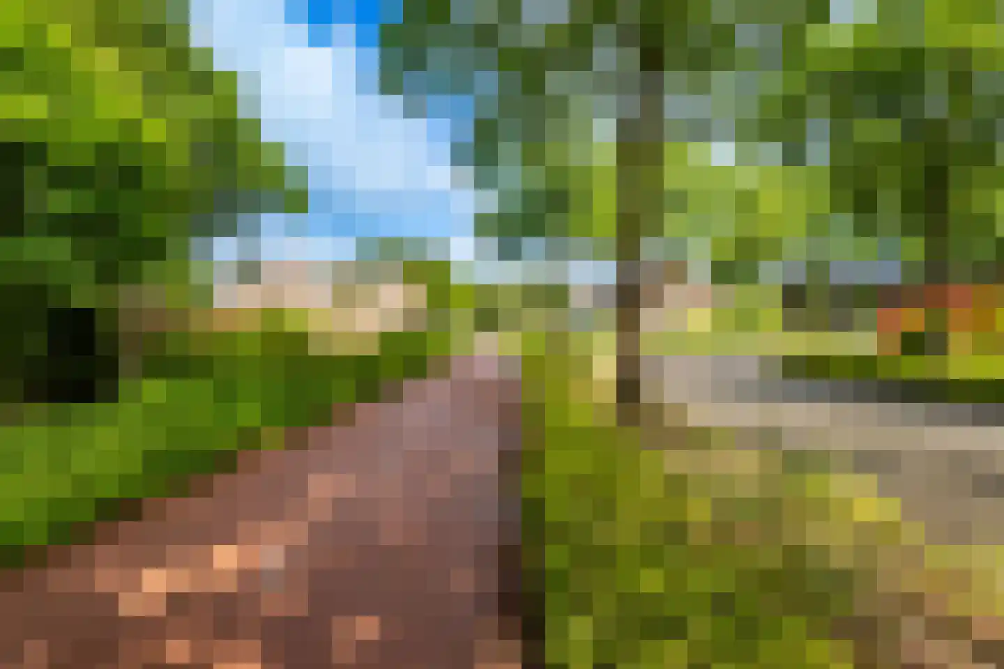 Appellaan 4 Bilthoven thumbnail 27