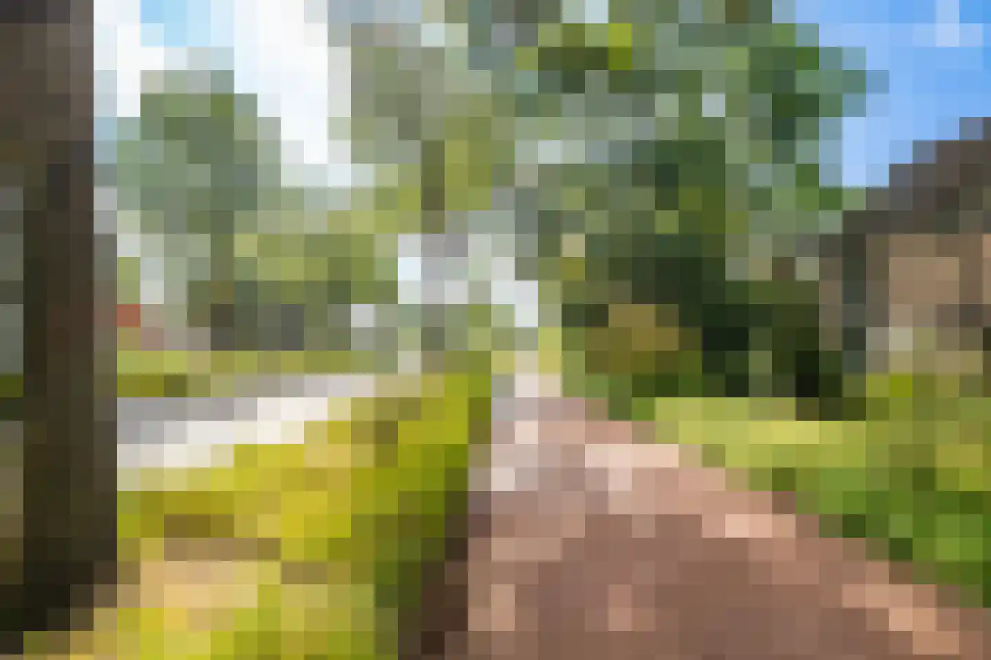 Appellaan 4 Bilthoven thumbnail 28