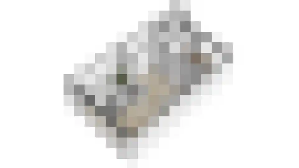Appellaan 4 Bilthoven thumbnail 30