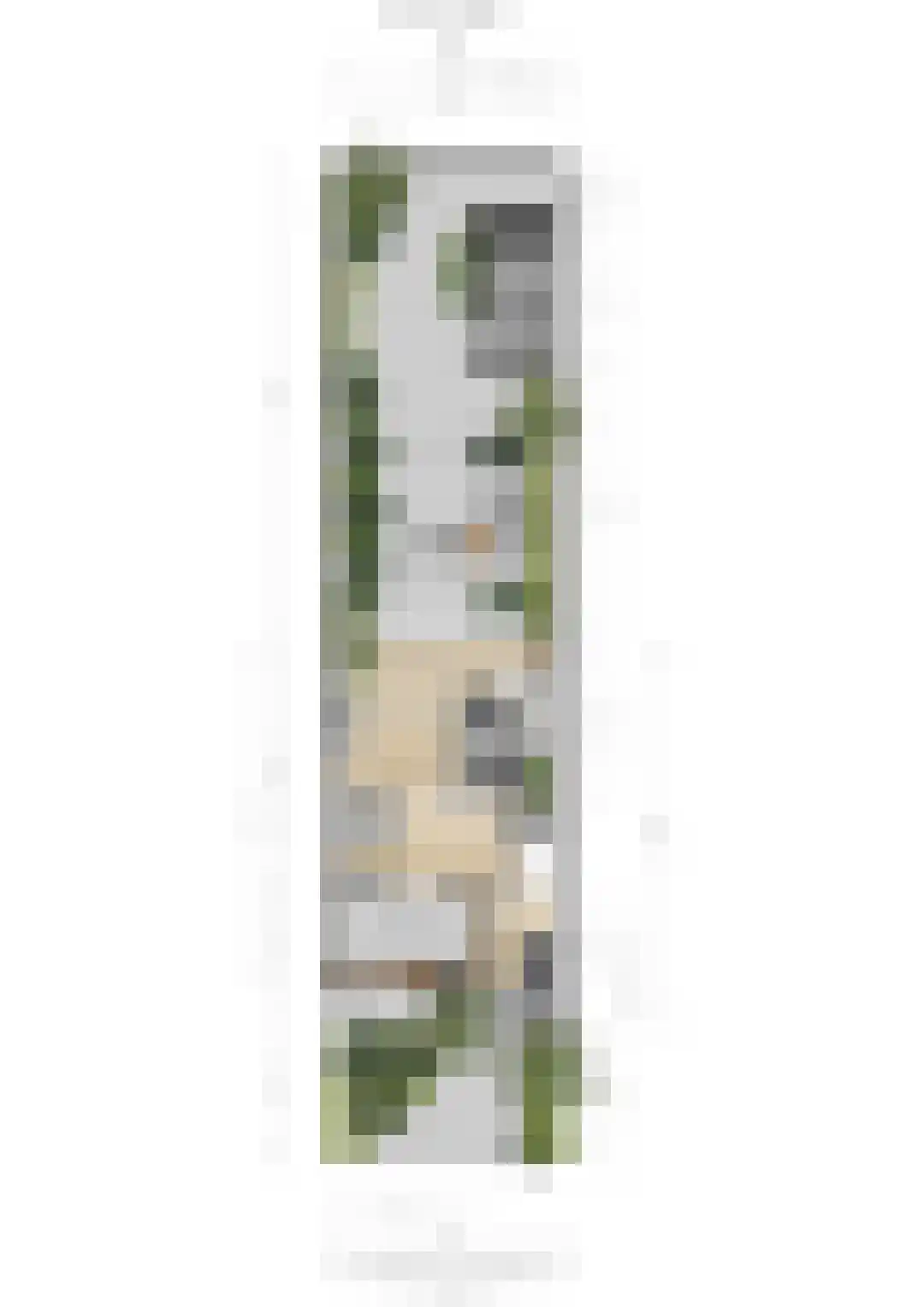 Appellaan 4 Bilthoven thumbnail 38