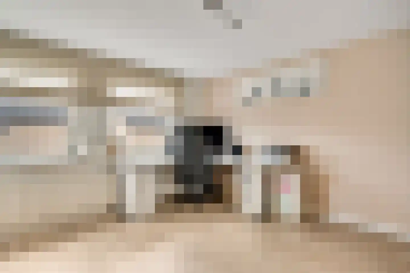 Appellaan 9 Bunde thumbnail 11