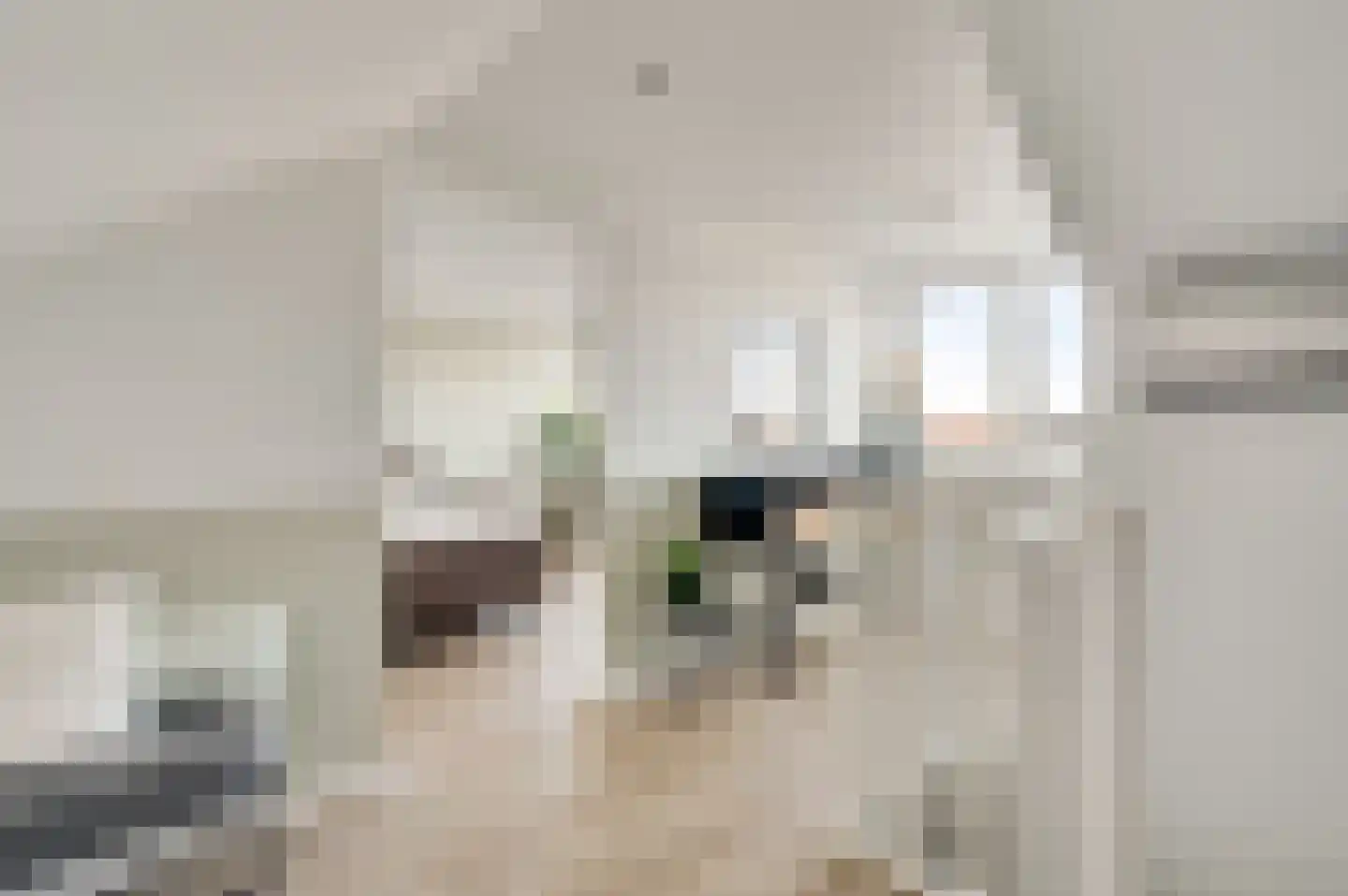 Appellaan 9 Bunde thumbnail 17