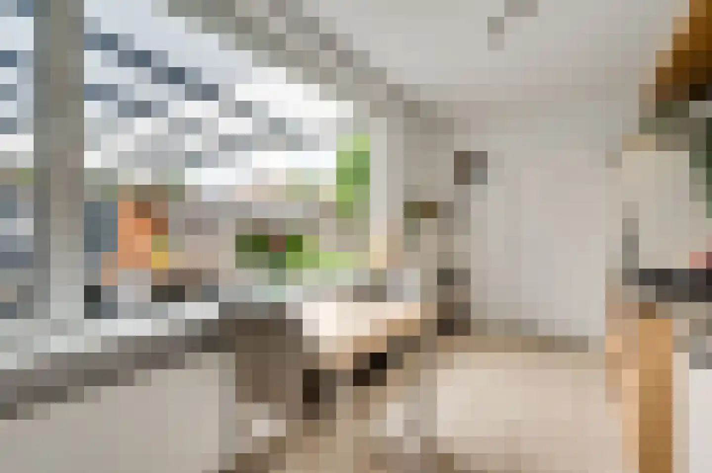 Appellaan 9 Bunde thumbnail 7