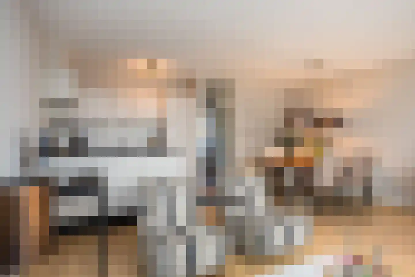 Appellaantje 3 Ootmarsum thumbnail 16