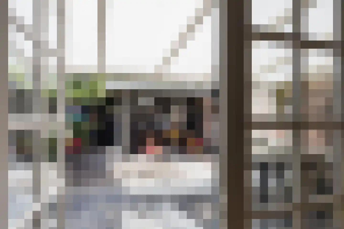Appellaantje 3 Ootmarsum thumbnail 27