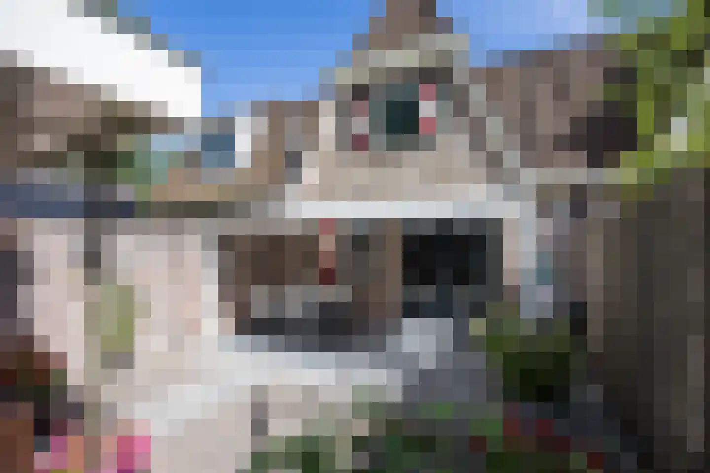 Appellaantje 3 Ootmarsum thumbnail 31