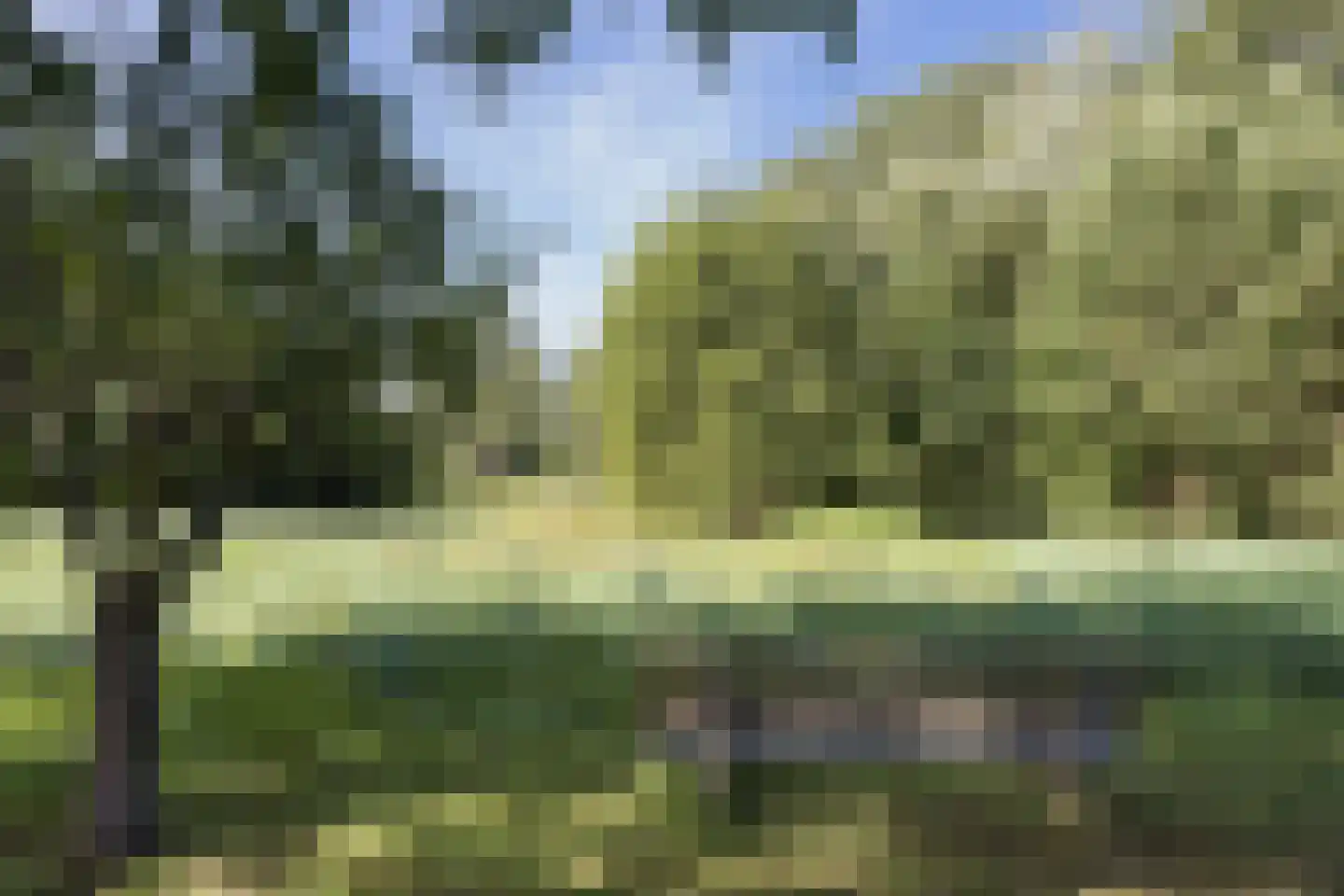 Appellaantje 3 Ootmarsum thumbnail 34