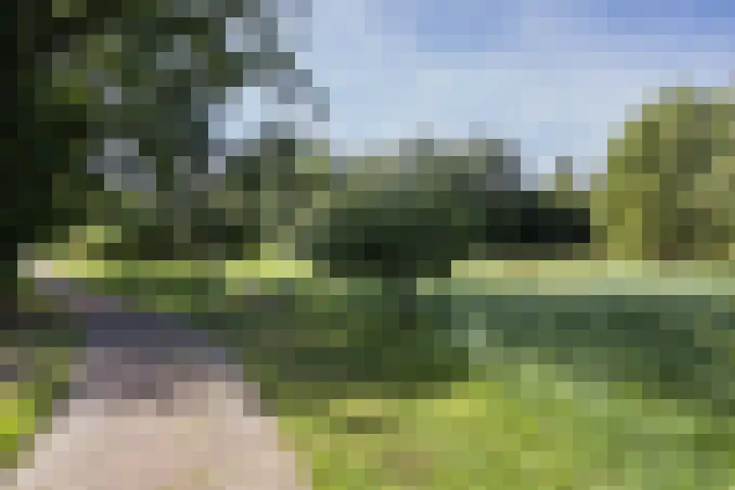 Appellaantje 3 Ootmarsum thumbnail 35