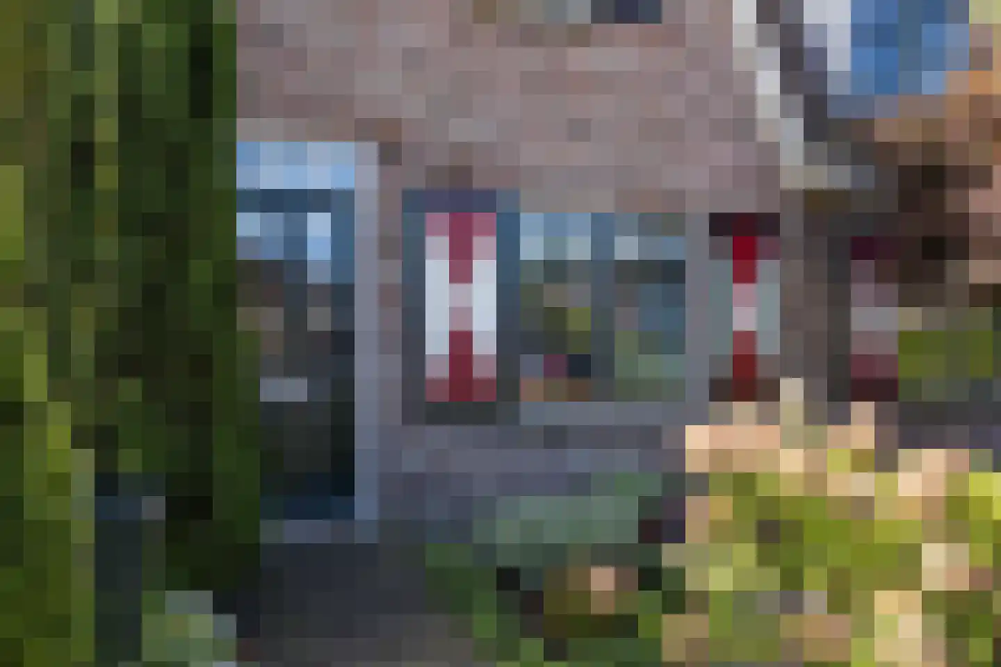 Appellaantje 3 Ootmarsum thumbnail 5