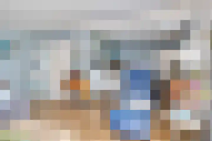 Appelmeet 34 Burgh-Haamstede thumbnail 10