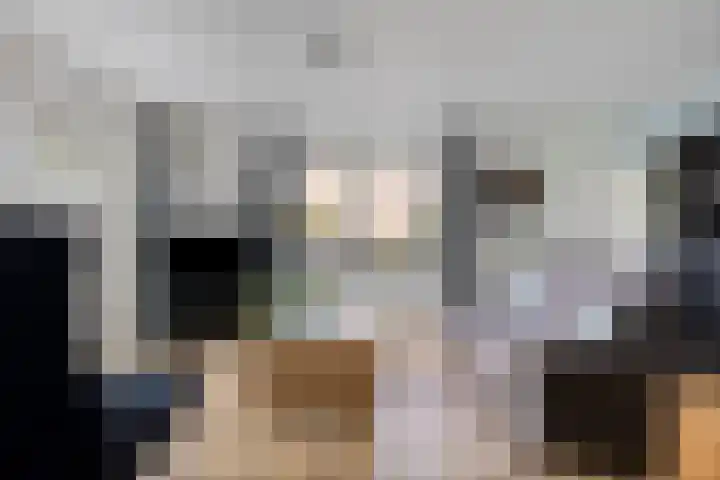 Appelmeet 34 Burgh-Haamstede thumbnail 12