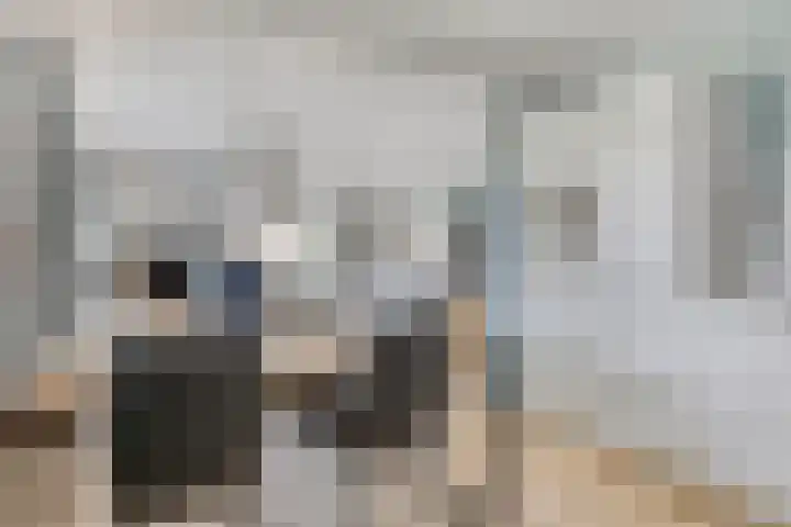 Appelmeet 34 Burgh-Haamstede thumbnail 13