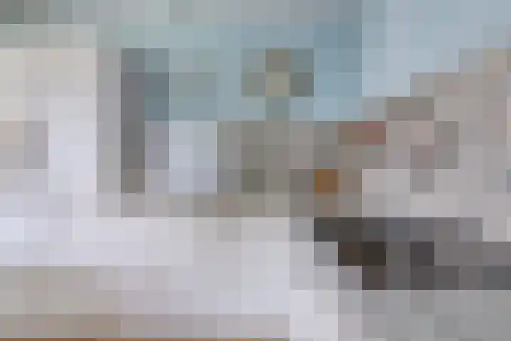 Appelmeet 34 Burgh-Haamstede thumbnail 14