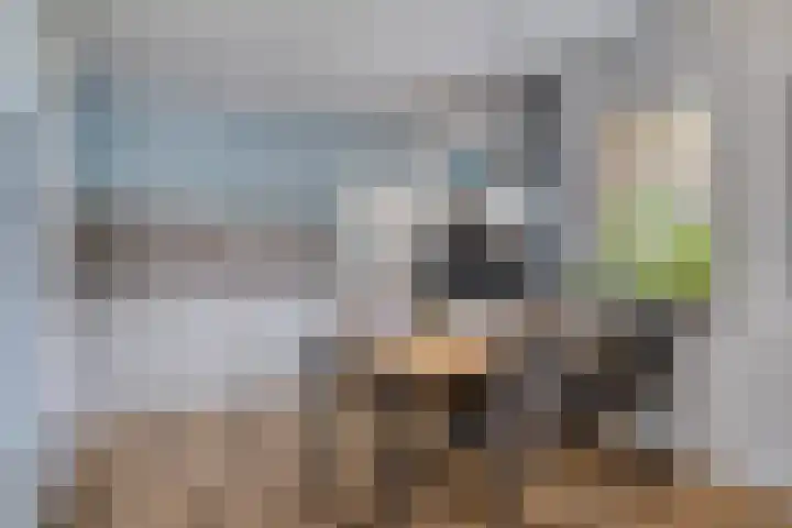 Appelmeet 34 Burgh-Haamstede thumbnail 15