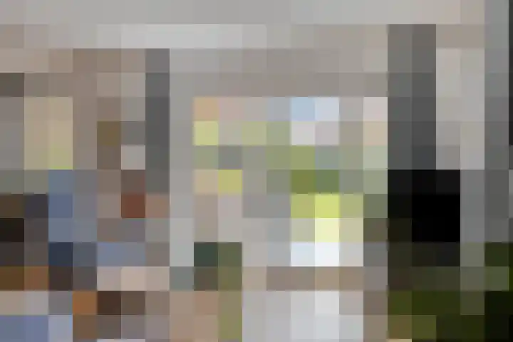 Appelmeet 34 Burgh-Haamstede thumbnail 18