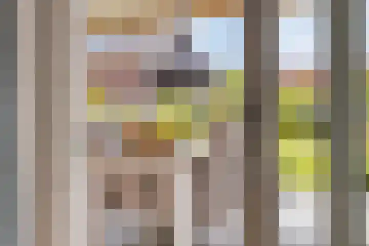 Appelmeet 34 Burgh-Haamstede thumbnail 19