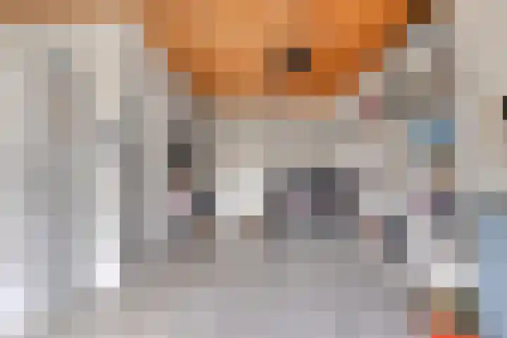 Appelmeet 34 Burgh-Haamstede thumbnail 21
