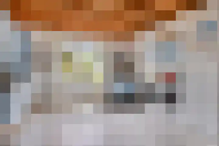 Appelmeet 34 Burgh-Haamstede thumbnail 22