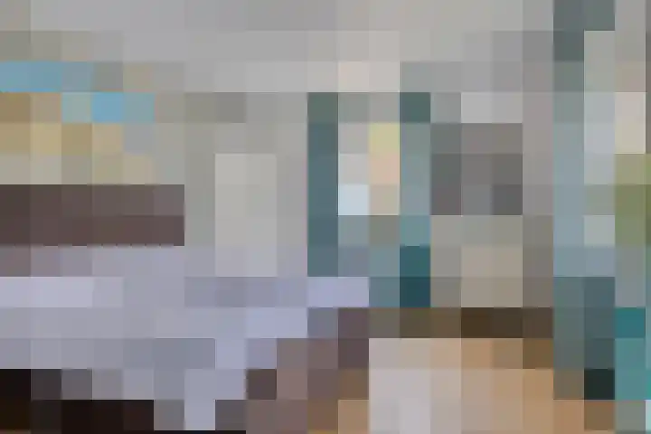 Appelmeet 34 Burgh-Haamstede thumbnail 25