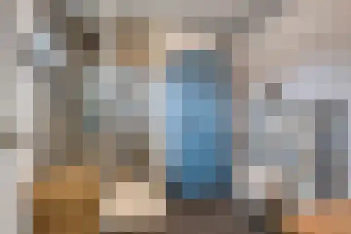 Appelmeet 34 Burgh-Haamstede thumbnail 26