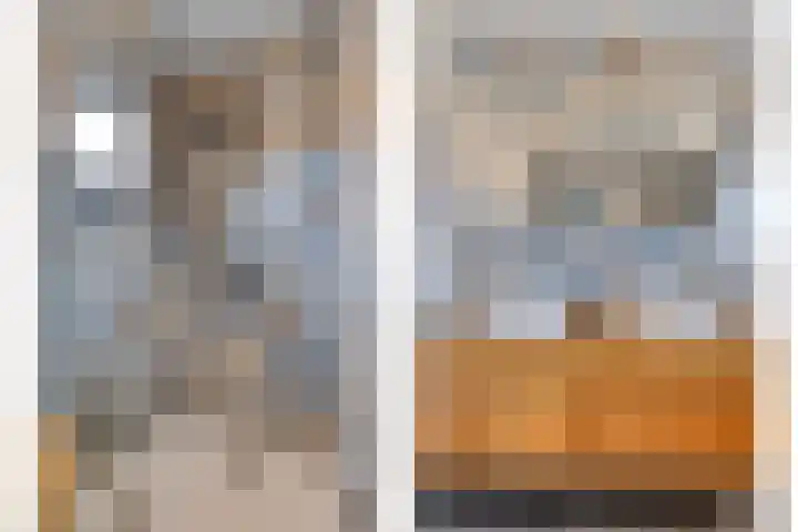 Appelmeet 34 Burgh-Haamstede thumbnail 27