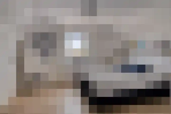 Appelmeet 34 Burgh-Haamstede thumbnail 28