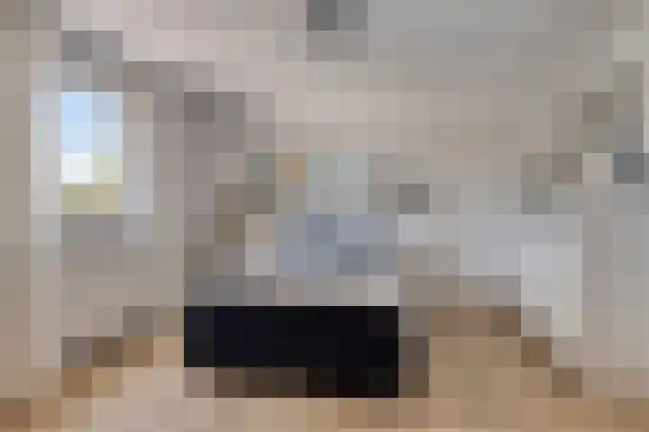 Appelmeet 34 Burgh-Haamstede thumbnail 29