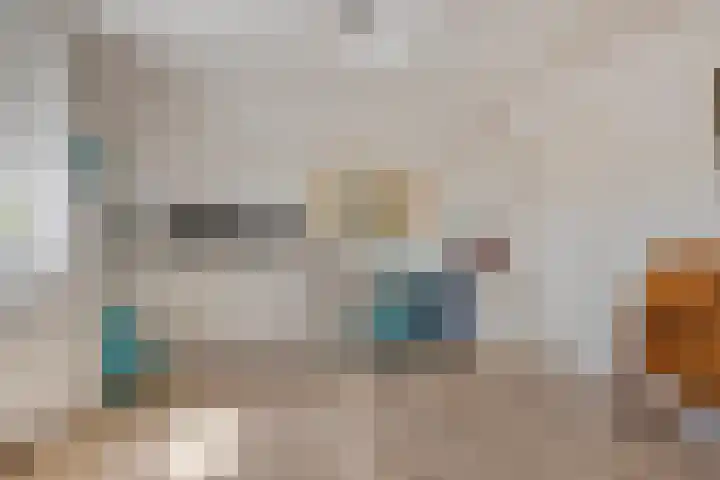 Appelmeet 34 Burgh-Haamstede thumbnail 33