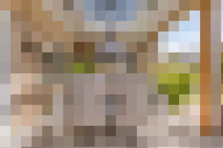 Appelmeet 34 Burgh-Haamstede thumbnail 36