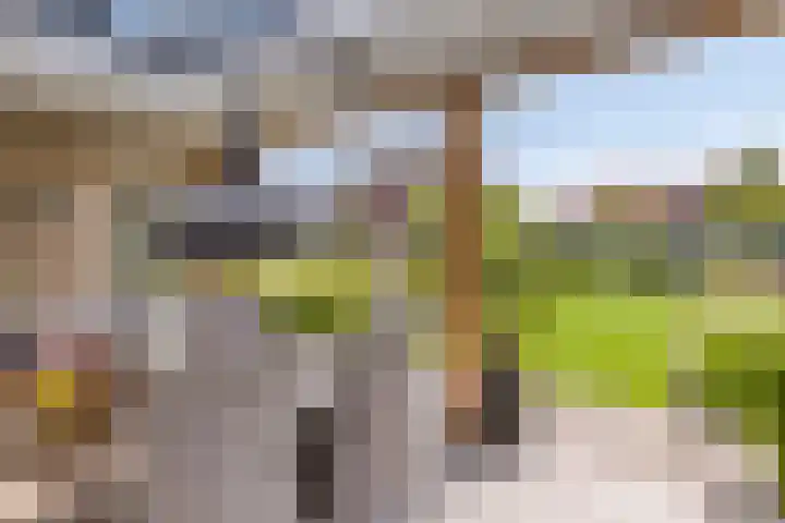 Appelmeet 34 Burgh-Haamstede thumbnail 37