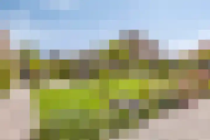 Appelmeet 34 Burgh-Haamstede thumbnail 38