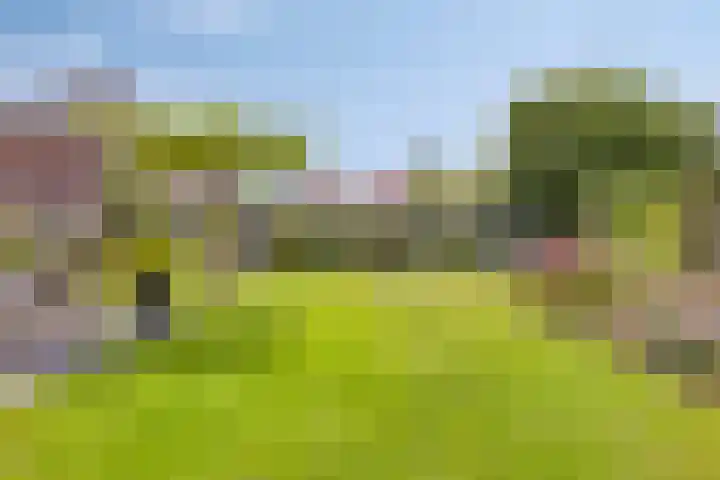 Appelmeet 34 Burgh-Haamstede thumbnail 39