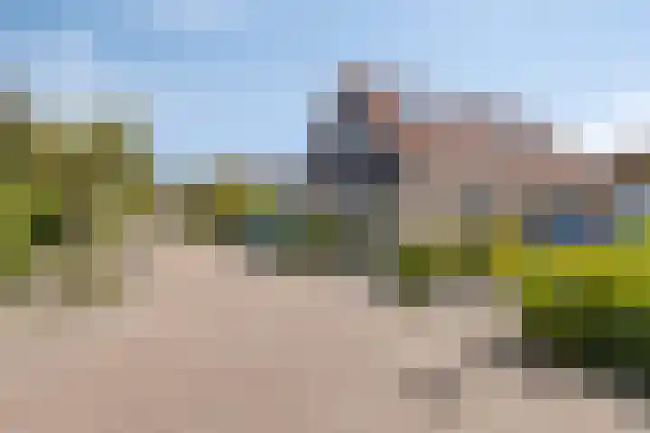 Appelmeet 34 Burgh-Haamstede thumbnail 4