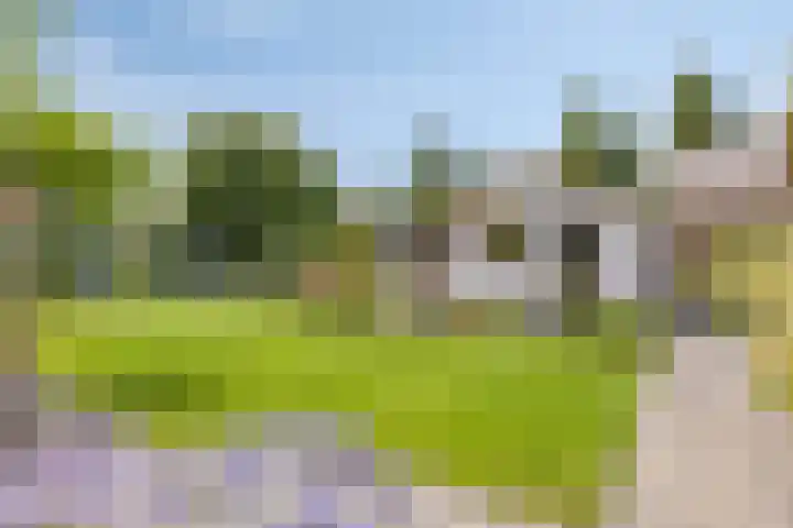 Appelmeet 34 Burgh-Haamstede thumbnail 40