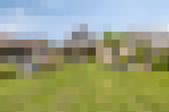 Appelmeet 34 Burgh-Haamstede thumbnail 42