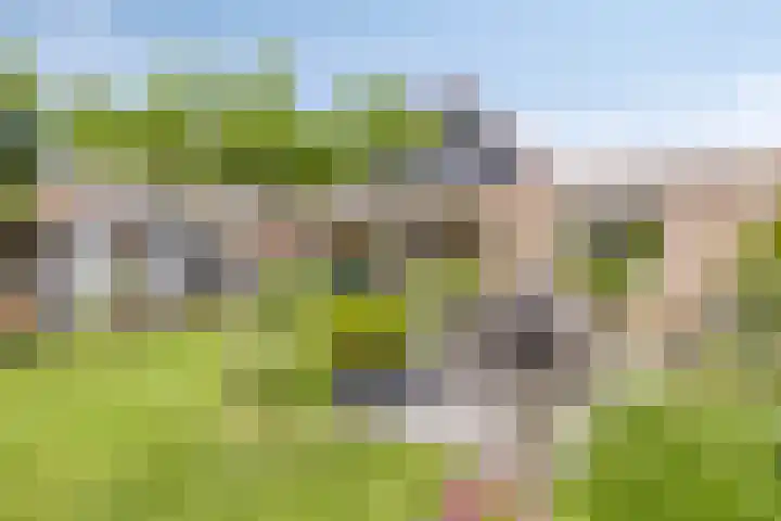 Appelmeet 34 Burgh-Haamstede thumbnail 43