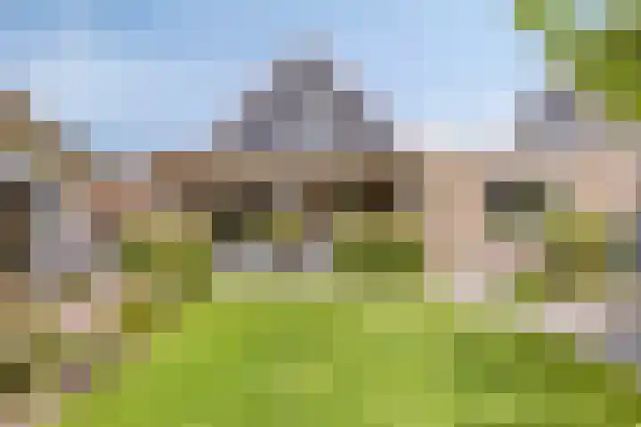 Appelmeet 34 Burgh-Haamstede thumbnail 44