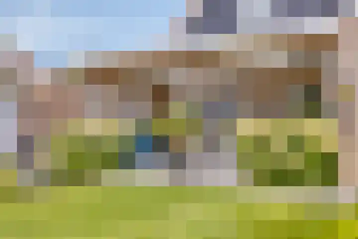 Appelmeet 34 Burgh-Haamstede thumbnail 45