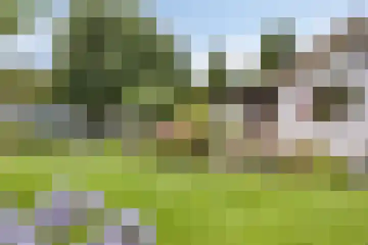 Appelmeet 34 Burgh-Haamstede thumbnail 46