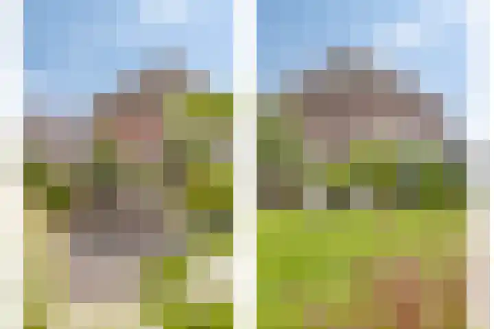 Appelmeet 34 Burgh-Haamstede thumbnail 47